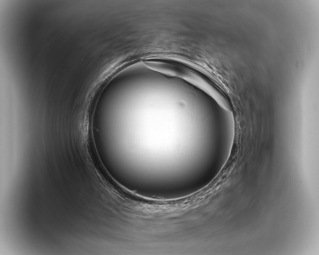 X0000094200005200710261201