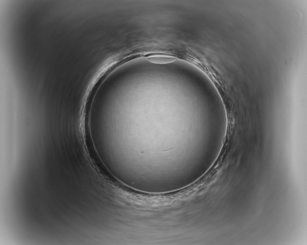 X0000094200006200710261201