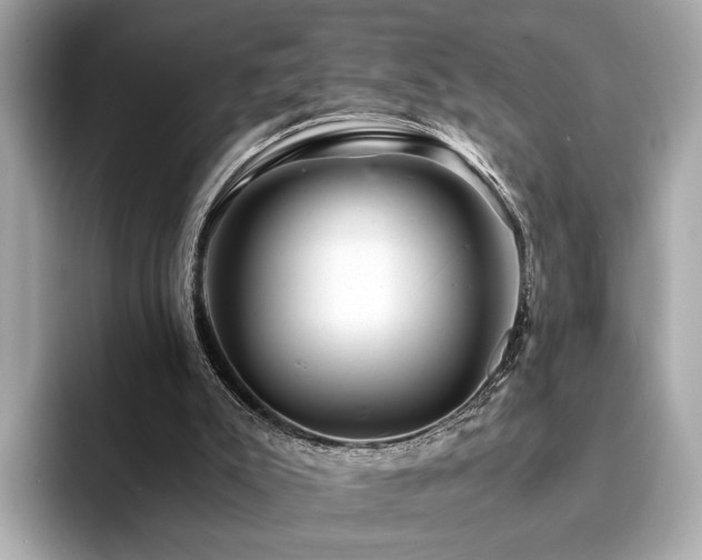 X0000094200007200710261201