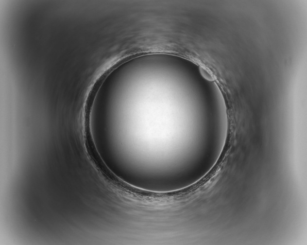 X0000094200008200710261201