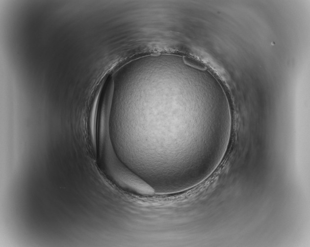 X0000094200009200710261201
