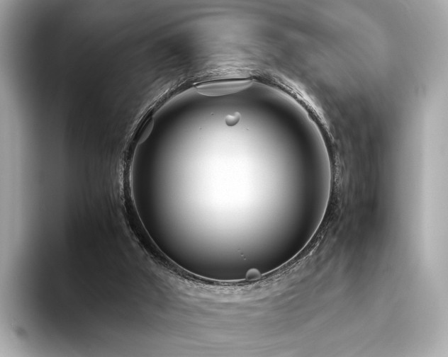 X0000094200010200710261201