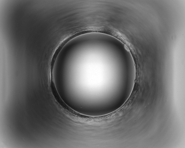 X0000094200011200710261201