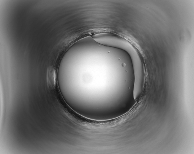 X0000094200013200710261201