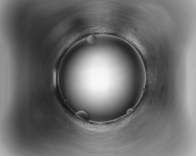 X0000094200014200710261201