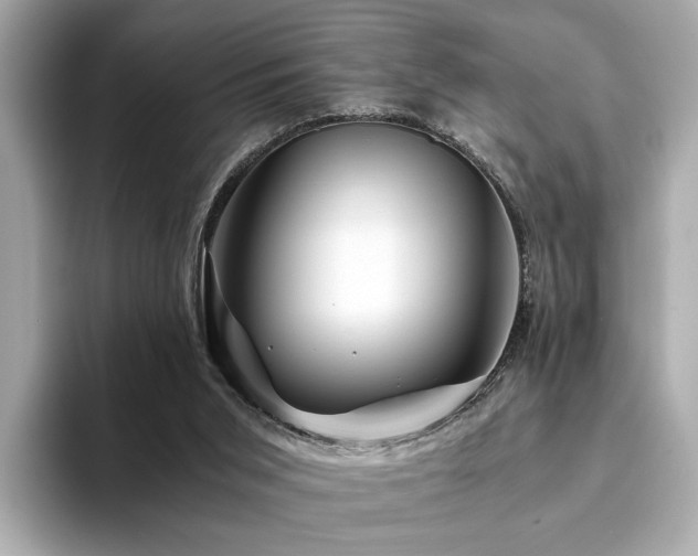X0000094200015200710261201