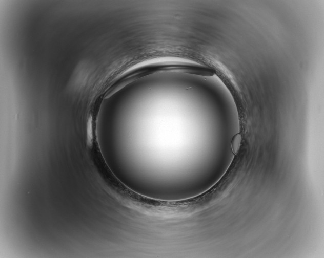 X0000094200020200710261201