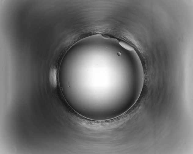 X0000094200022200710261201