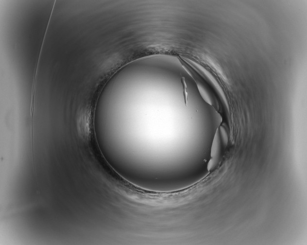 X0000094200023200710261201