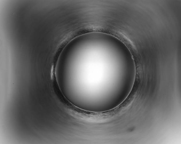X0000094200024200710261201