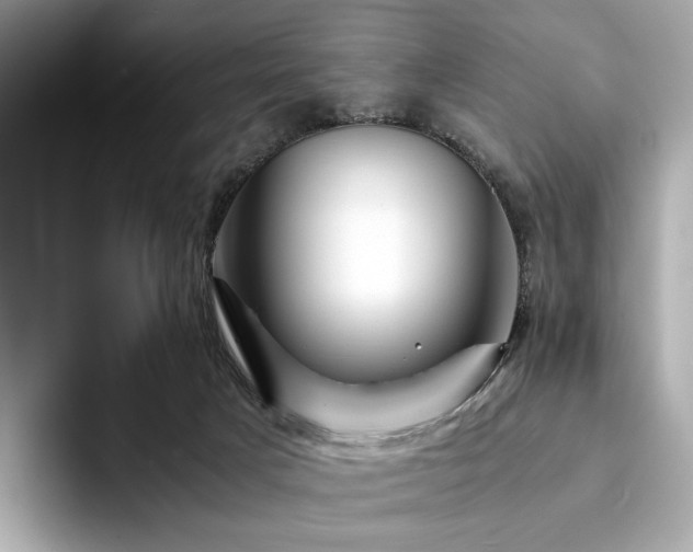 X0000094200025200710261201