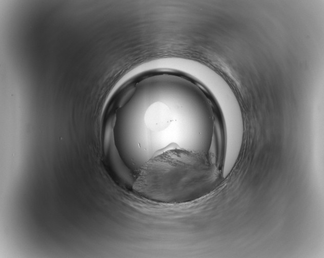 X0000094200027200710261201