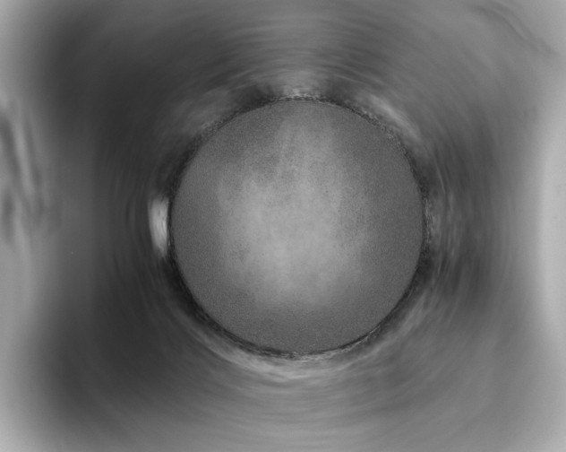 X0000094200028200710261201