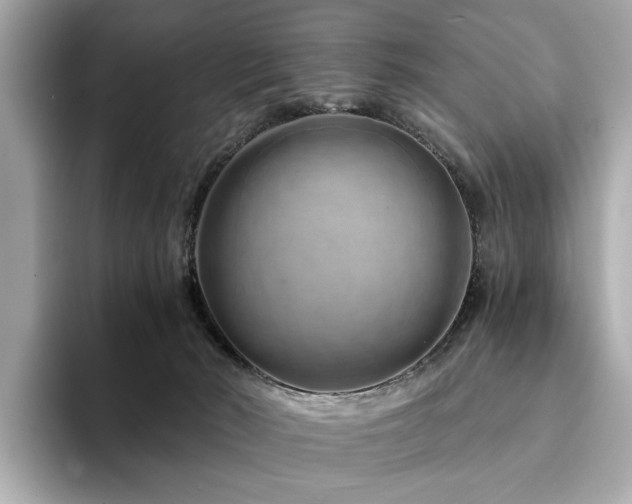 X0000094200030200710261201