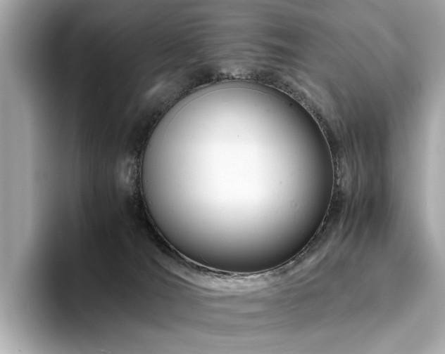 X0000094200036200710261201