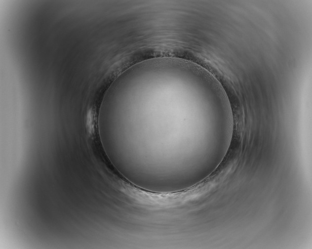 X0000094200038200710261201