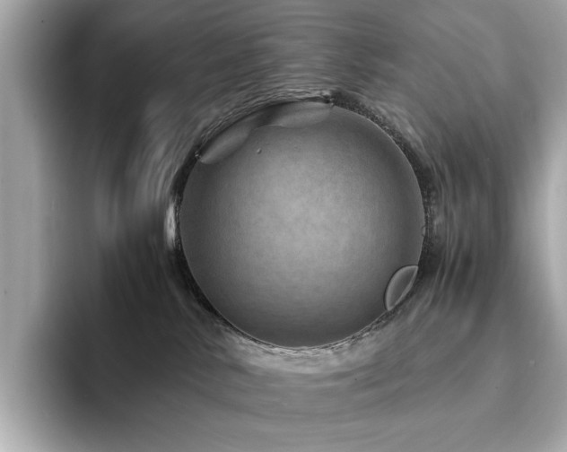 X0000094200042200710261201