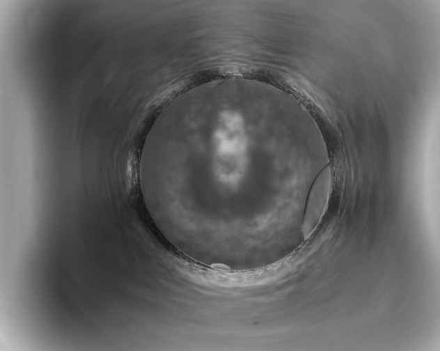 X0000094200043200710261201