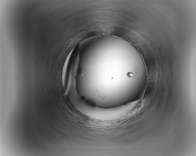 X0000094200045200710261201