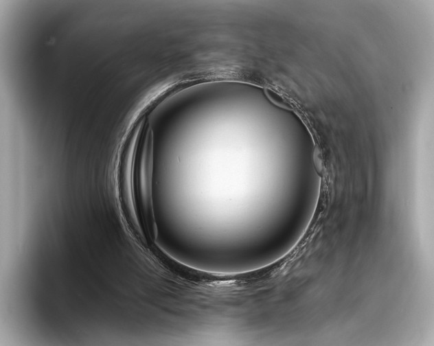 X0000094200054200710261200