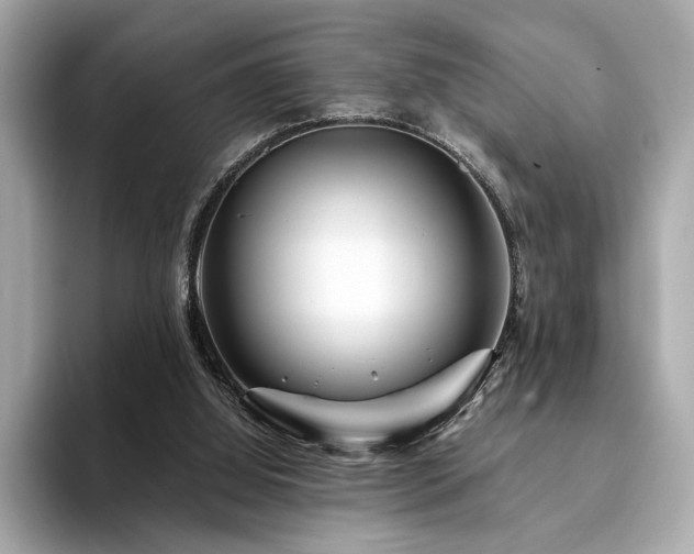 X0000094200060200710261200