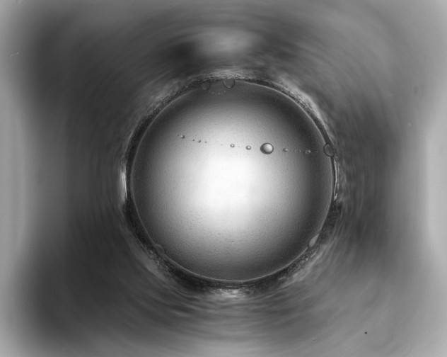 X0000094200061200710261200