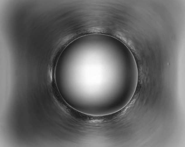 X0000094200062200710261200