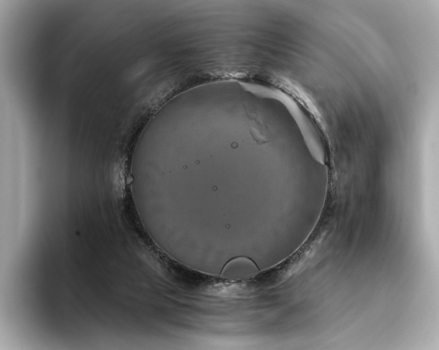 X0000094200065200710261200