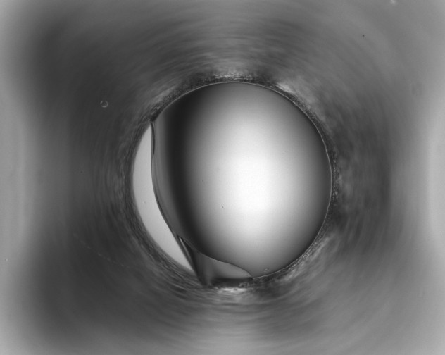 X0000094200066200710261200