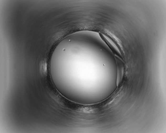 X0000094200067200710261200