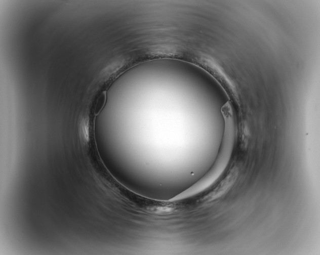 X0000094200068200710261200