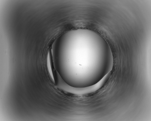 X0000094200081200710261201
