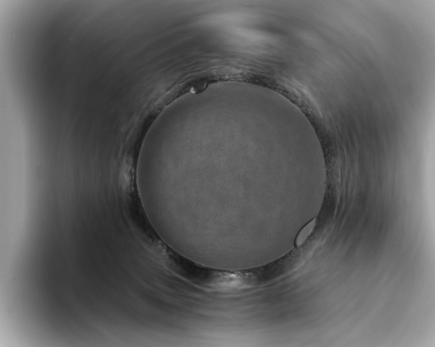 X0000094200083200710261201