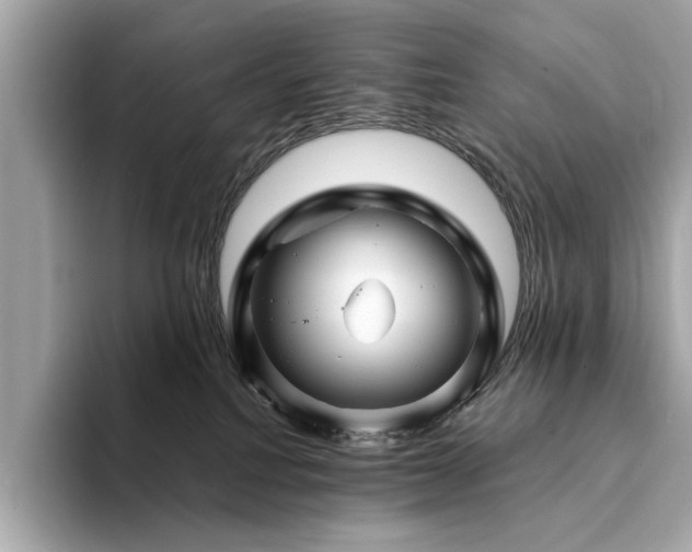 X0000094200088200710261201