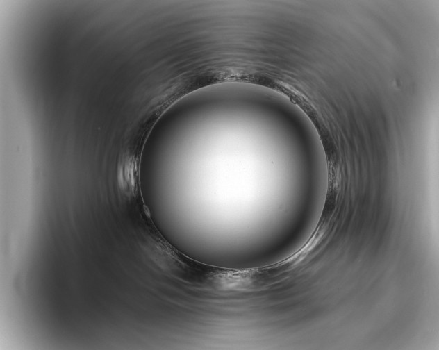 X0000094200094200710261201
