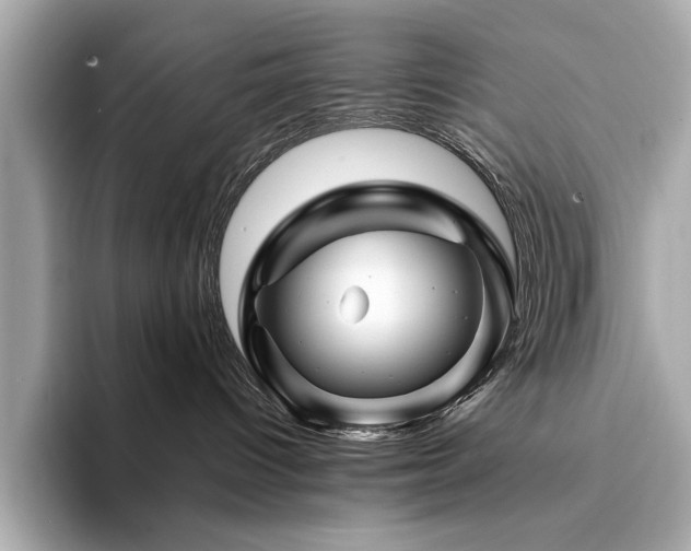 X0000094200096200710261201