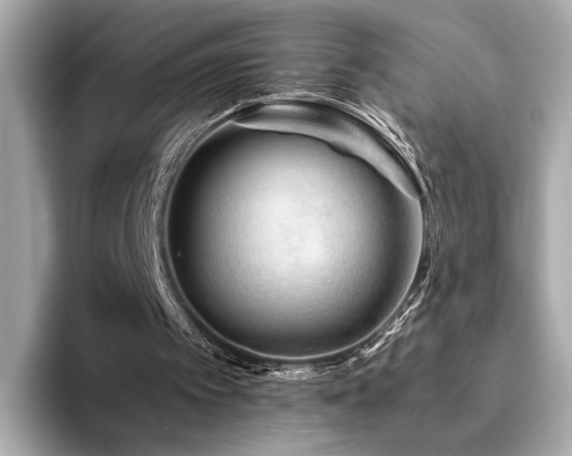X0000094200097200710261200