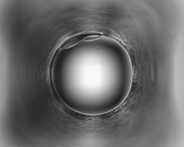 X0000094200099200710261200