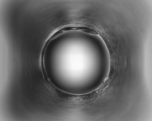 X0000094200100200710261200