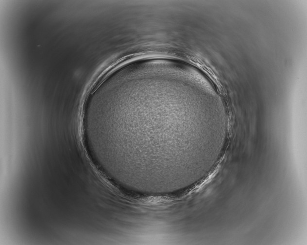 X0000094200101200710261200