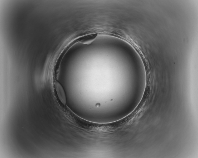 X0000094200103200710261200