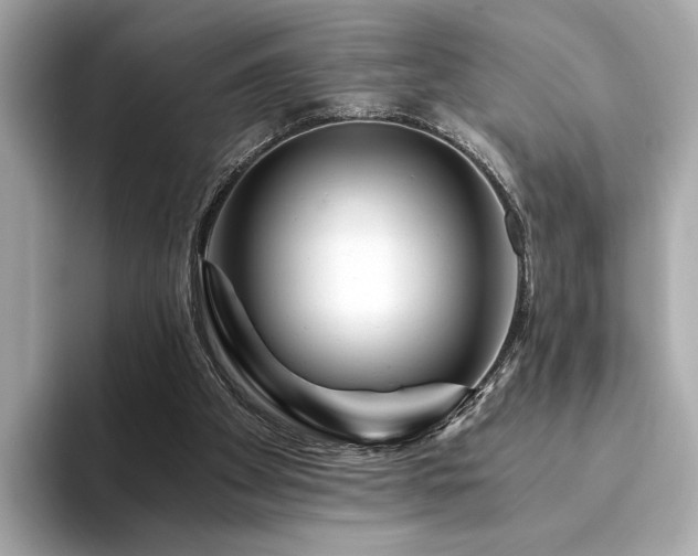 X0000094200105200710261200