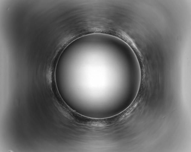 X0000094200106200710261200