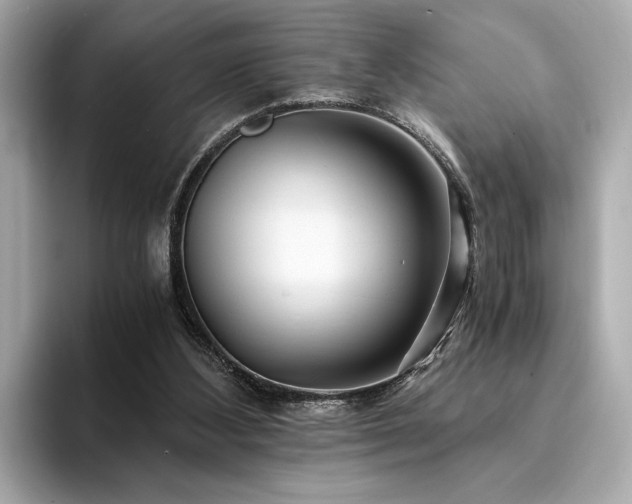 X0000094200108200710261200