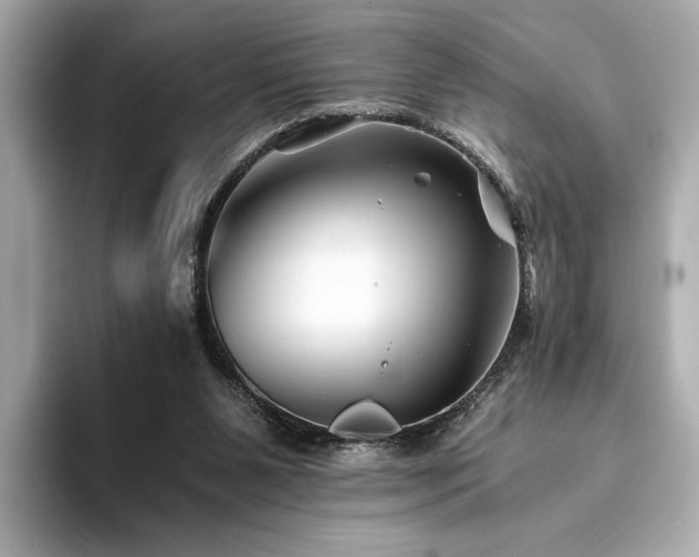 X0000094200111200710261200