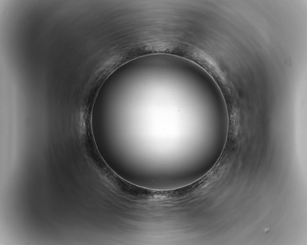 X0000094200114200710261200
