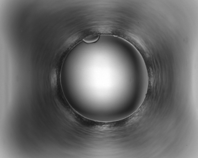 X0000094200120200710261200
