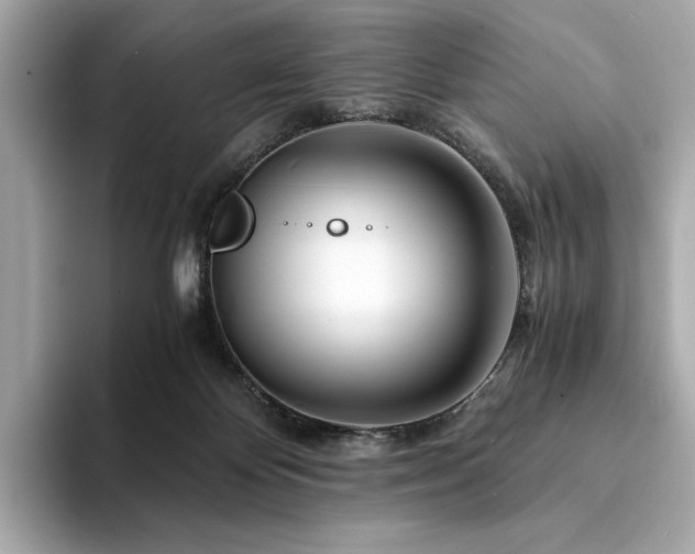 X0000094200124200710261200
