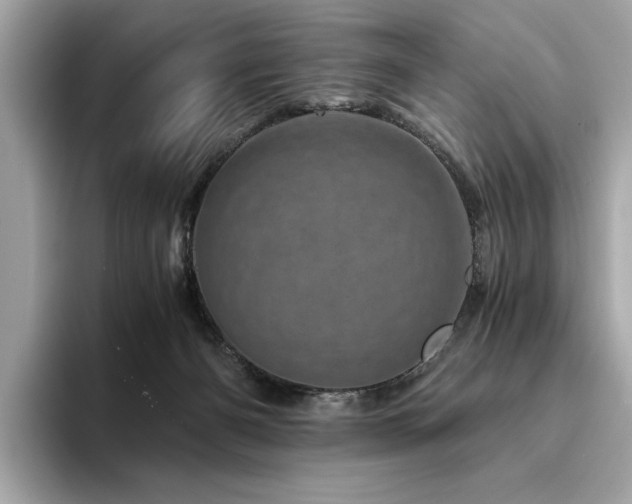X0000094200126200710261200