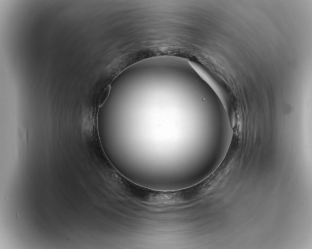 X0000094200129200710261200